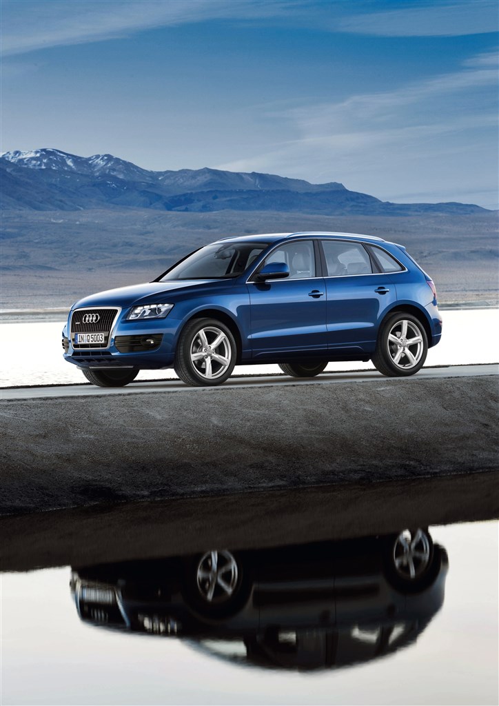 Audi Q5
(Foto: Audi)